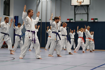 Karatetraining: Kihon Tsuki